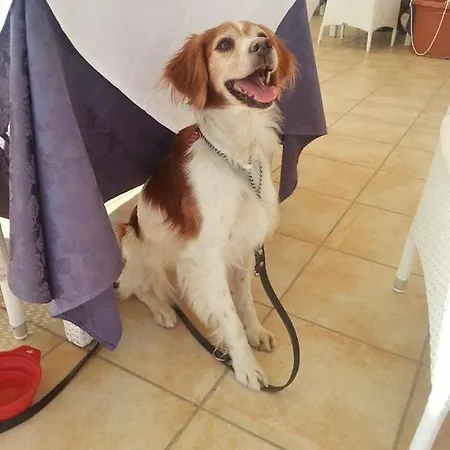 Szálloda La Caletta Porto Santo Stefano